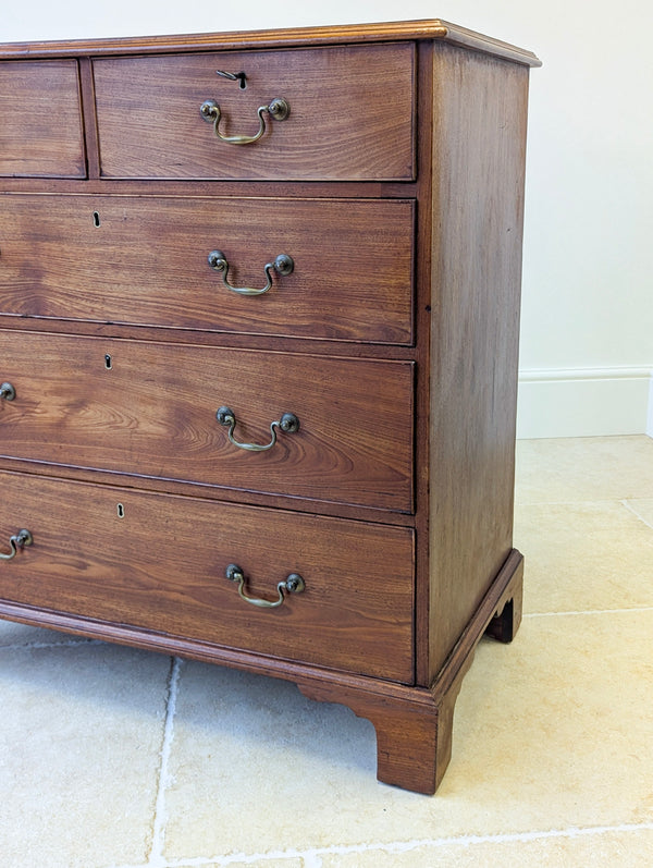 Antique Late Georgian Satin Birch Chest of Drawers c.1810