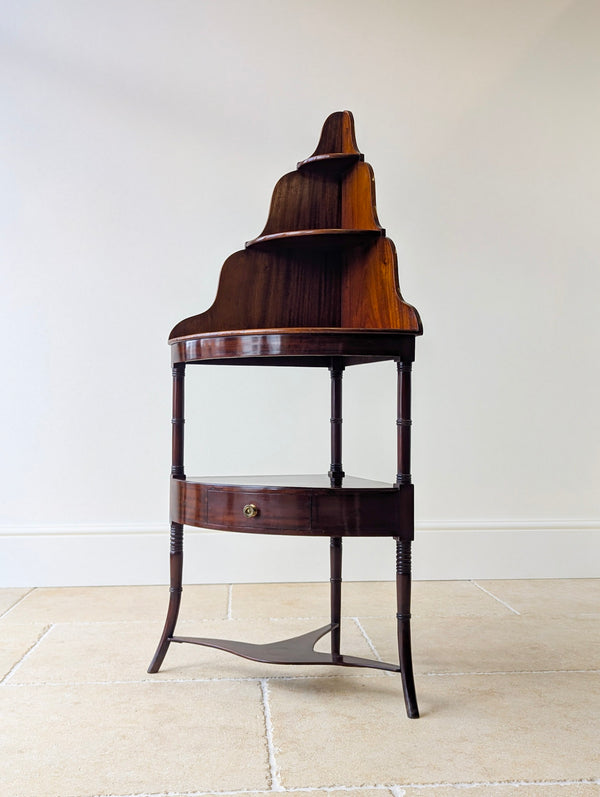 Antique Regency Mahogany Tiered Corner Stand c.1820
