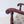 Load image into Gallery viewer, Pair of Antique Victorian Walnut Open Armchairs c.1890
