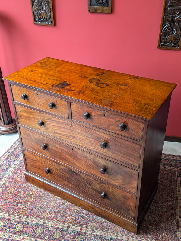 Antique Victorian Solid Mahogany Straight Front Chest of Drawers