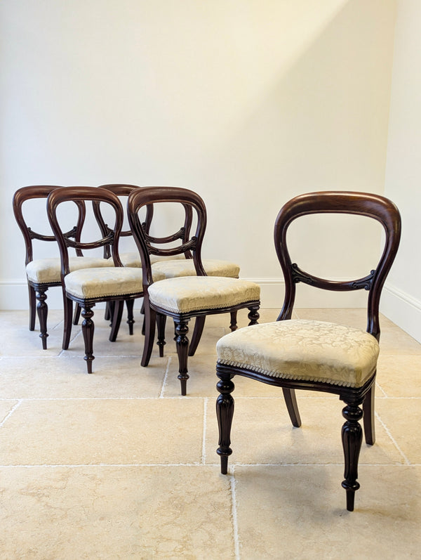 Set of Six Antique Victorian Mahogany Balloon Back Dining Chairs c.1860
