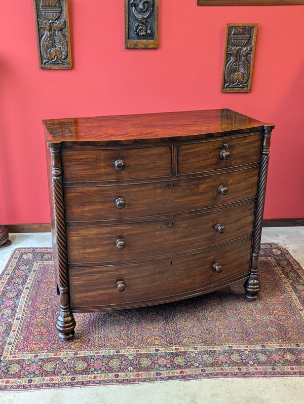 Antique Victorian Dark Mahogany Scotch Chest of Drawers