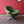 Load image into Gallery viewer, Mid Century Vintage Egg Chair
