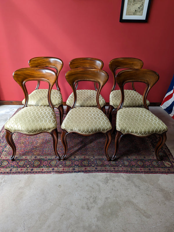 Set of 6 Antique Victorian Mahogany Balloon Back Dining Chairs