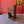 Load image into Gallery viewer, Antique Edwardian Mahogany Music Cabinet / Hall Table
