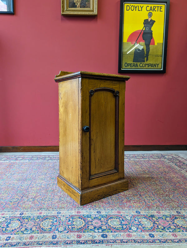 Antique 19th Century Pine Bedside / Pot Cupboard