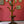 Load image into Gallery viewer, Antique Victorian Oak ‘Tree’ Hall Stand
