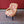 Load image into Gallery viewer, Antique Victorian Mahogany Upholstered Salon Chair
