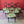 Load image into Gallery viewer, Set of Six Antique Victorian Rosewood Dining Chairs
