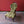 Load image into Gallery viewer, Antique Victorian Carved Walnut Occasional Chair
