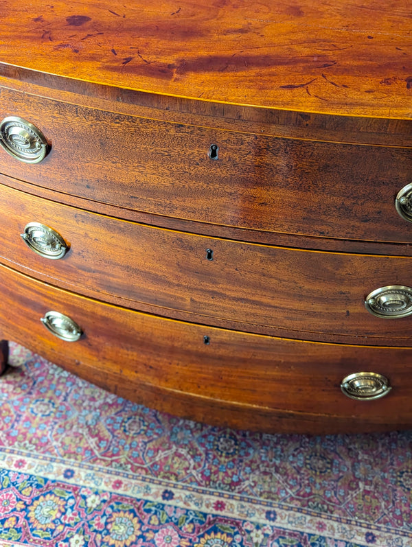 Antique Early 19th Century Mahogany Bow Front Chest of Drawers