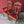 Load image into Gallery viewer, Pair of Art Nouveau Arts &amp; Crafts Oak Throne Armchairs / Hall Chairs Circa 1900
