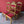 Load image into Gallery viewer, Set of 4 Antique Art Nouveau Arts &amp; Crafts Golden Oak Dining Chairs
