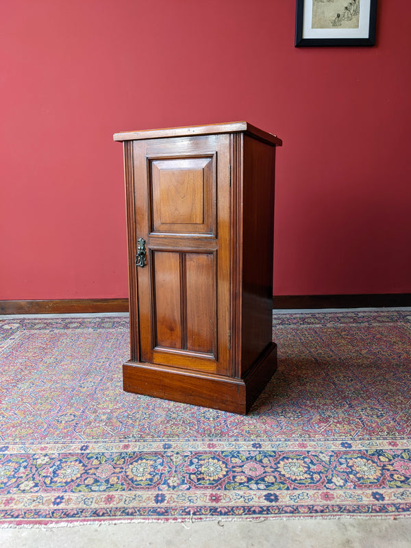 Antique Victorian Mahogany Pot Cupboard / Bedside Cabinet