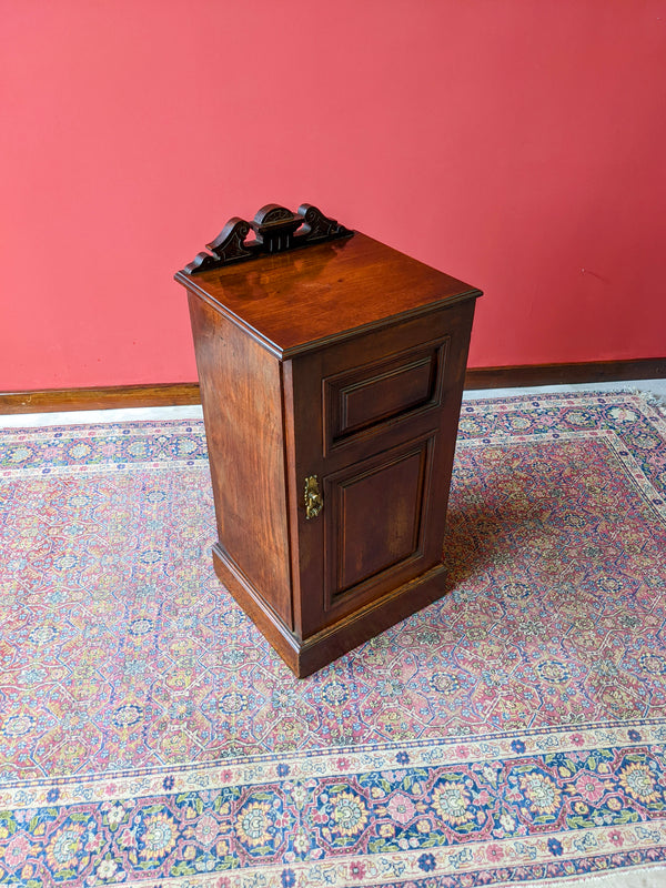 Antique Victorian Mahogany Panel Front Pot Cupboard / Bedside Cabinet